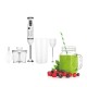 AFRA Japan Hand Blender Set, Multiple Speed Settings, Stainless Steel, Multiple Attachments, 600W, Chopper, Mixing Cup, Whisk, G-Mark, ESMA, RoHS, CB, 2 years warranty